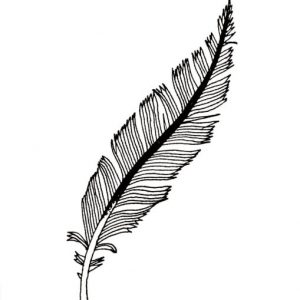 feather for Stijn Claessens